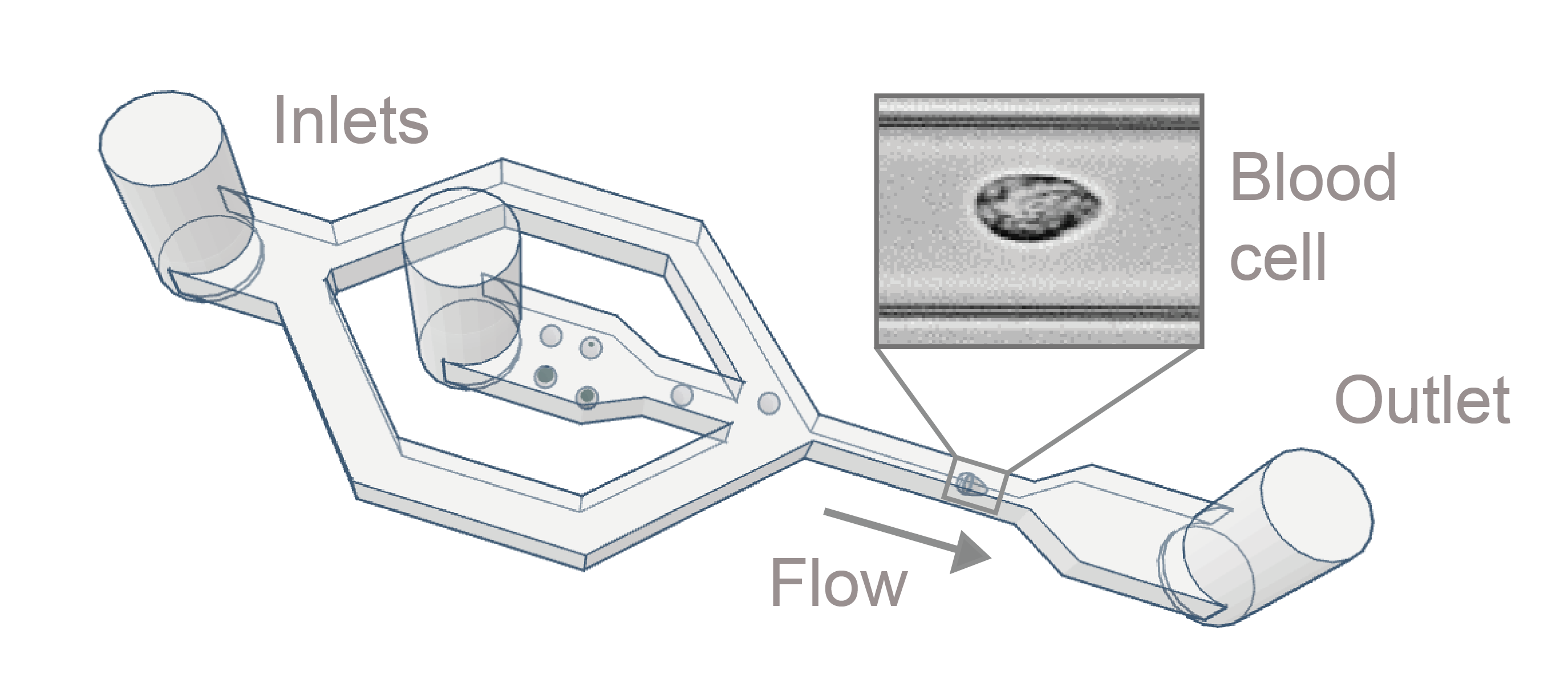 a diagram of the layout of Rivercyte's microfluidic chips
