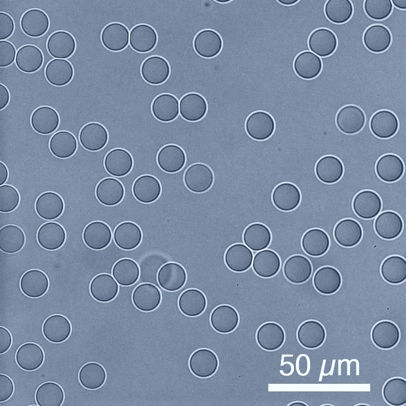 a microscopic image of Rivercyte's microgel beads