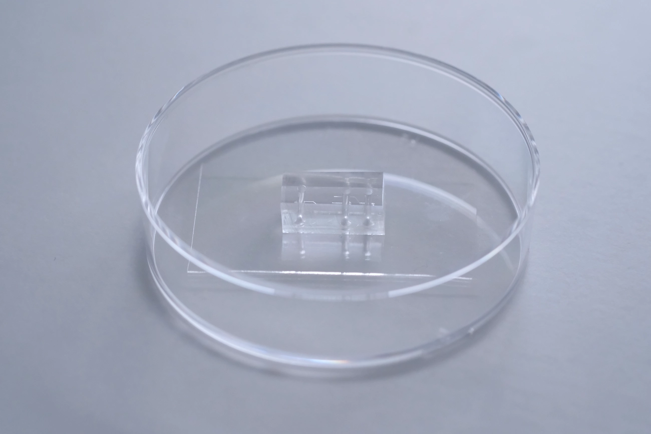 a microfluidic chip in its packaging